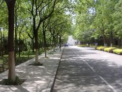 -山东农业大学(岱宗校区)