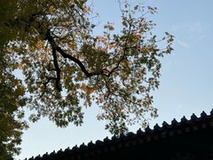 -灵谷景区