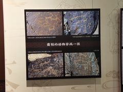 -敦煌市博物馆