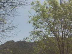-大水川景区