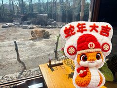 -上海野生动物园老虎餐厅