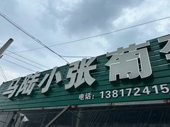 -马陆小张葡萄园农家乐