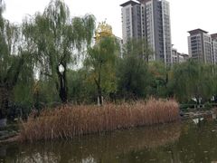 -木塔寺遗址生态公园