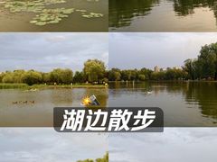 -太阳宫公园
