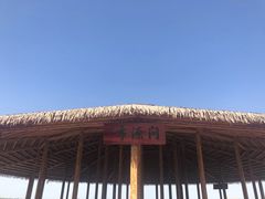 -白洋淀景区