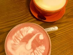 -猫色咖啡·猫咖