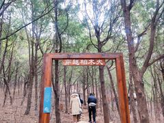 -佛慧山