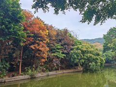 -月亮湾公园