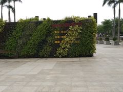 -聚龙山公园