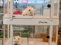 -翊宠yipet猫狗购宠庄园