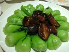 -圆苑(上海广场店)