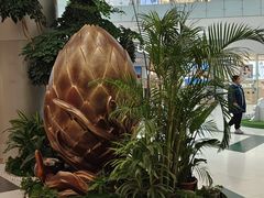 -凯德广场(学府店)