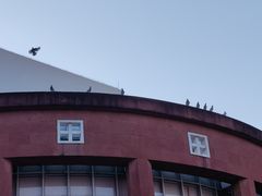 -广州人民艺术中心