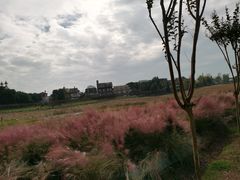 -花博汇(知音花月夜)