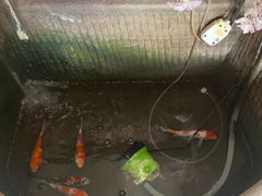 -愉肴麻辣香锅(中山路店)