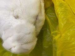 -博特宠物医院24h犬猫全科.骨科·异宠