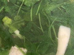 -大鹏饭店·金陵家宴(奥体中心店)