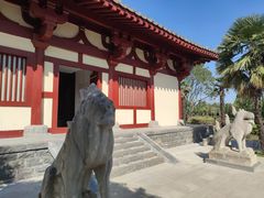 -洛阳古墓博物馆