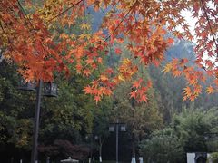 -幕燕滨江·长江观音景区