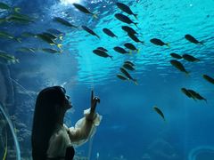 -石家庄海洋公园