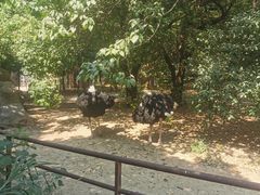 -南昌动物园