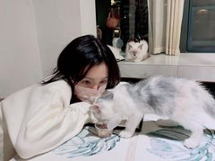 -吉丁鸟咖·异宠·寄养