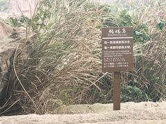 -蛇蟠岛