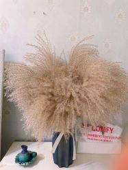 -宜肤清颜专业祛痘问题肌修护