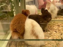 -龙猫仔乐园(惠福东路店)