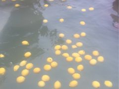 -天目湖涵田半山温泉