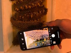 -宏源鑫海鲜餐厅·海景婚宴厅(石老人店)