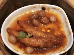 -美食小镇·观赏珍稀鸟类·长隆熊猫酒店