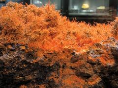 -湖南省地质博物馆