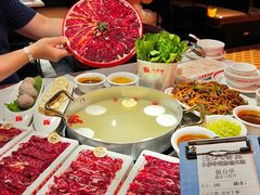 -八合里潮汕鲜牛肉火锅(惠州华贸店)