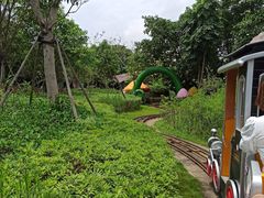 -美的鹭湖探索王国