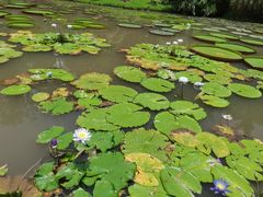 -中国科学院西双版纳热带植物园