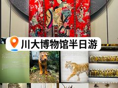 -四川大学博物馆