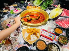 空运鲜毛肚-哥老官重庆美蛙鱼头(龙湖杭州金沙天街店)