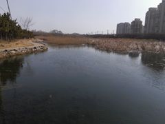 景点-前关湿地公园