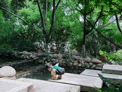 -成都市活水公园