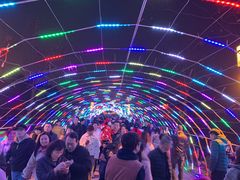 -洛阳市隋唐城遗址植物园