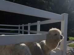 -哈尔滨北方森林动物园