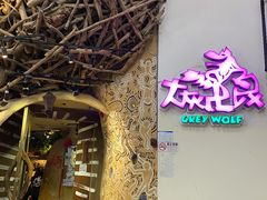 -大灰狼(中心书城店)