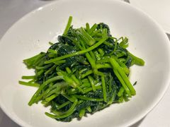 -凤凰湘语(浦东旗舰店)