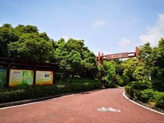 -大屏嶂森林公园