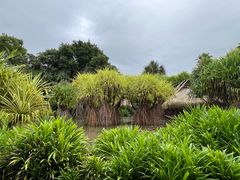 -中国科学院西双版纳热带植物园