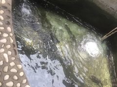 -十三陵山水雅园农家院