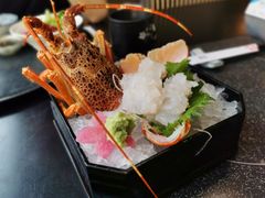 龙虾刺身-长富宫饭店·日本料理樱