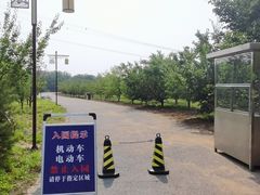 -张家湾公园