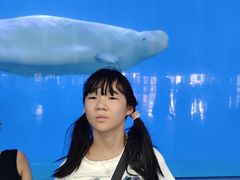 -泉城欧乐堡海洋极地世界